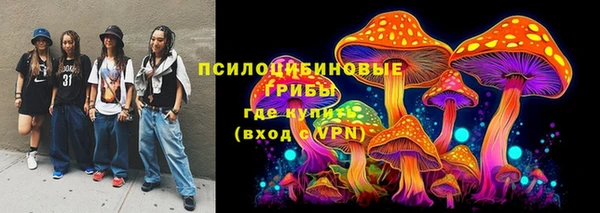 spice Верея
