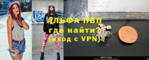 spice Верея