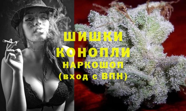 spice Верея