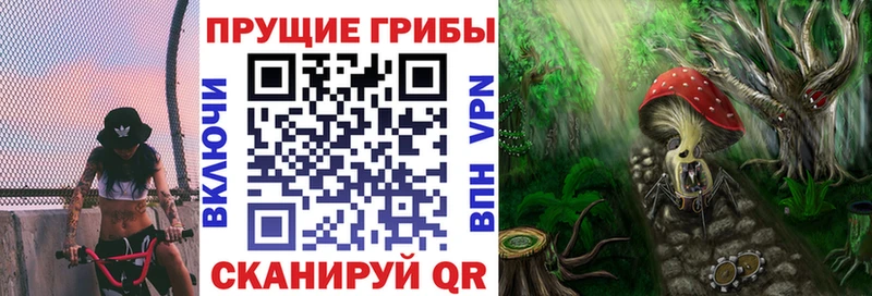 дарнет шоп  Динская  Псилоцибиновые грибы ЛСД 